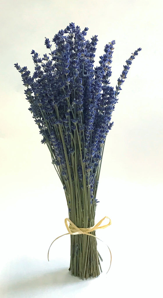 British Natural Dried LAVENDER Bunch DARK BLUE Fragrant English 150 Stems  UK A1