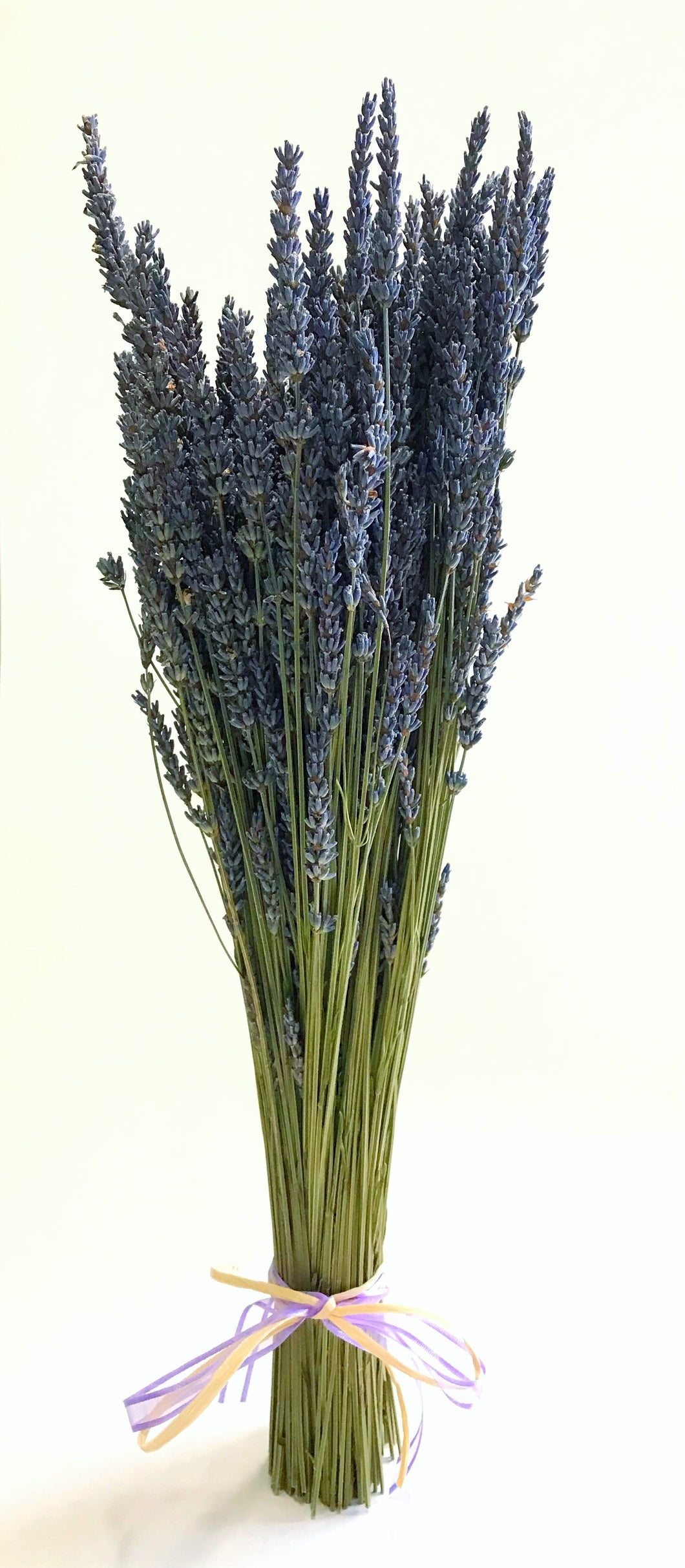 On Sale! Grosso lavender bundles – Graysmarsh Farm Inc.